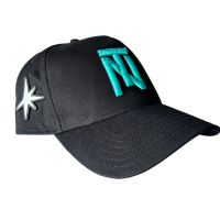 TN logo Snapback Hat - Teal Stitch
