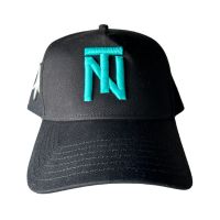 TN logo Snapback Hat - Teal Stitch